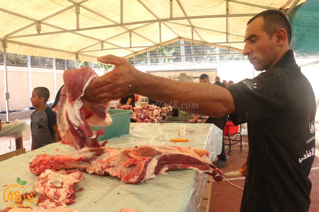 ada7y forthei (68).JPG